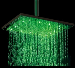 Best Large Rain Shower Head